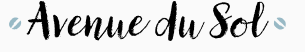 agence web paris