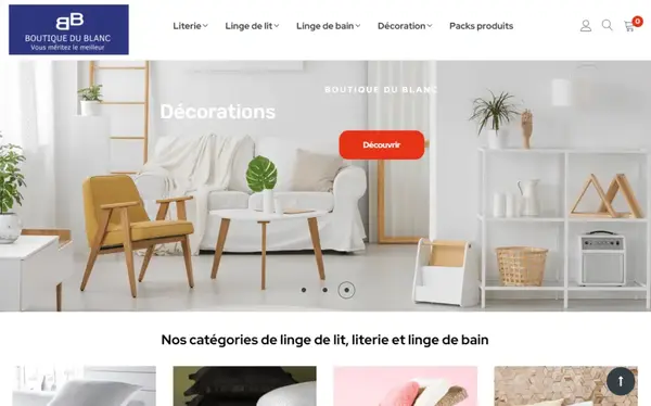 agence web paris