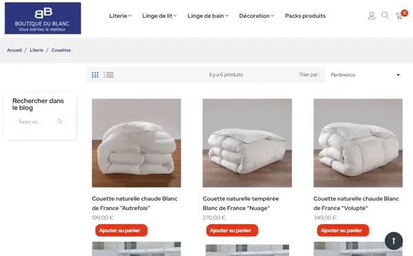 agence web paris