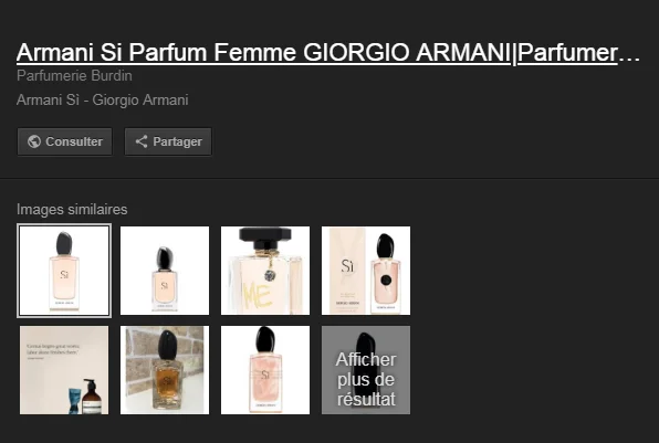 agence web paris