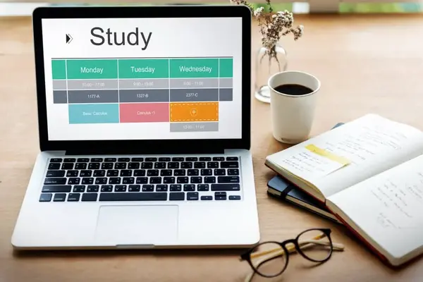 formation SEO