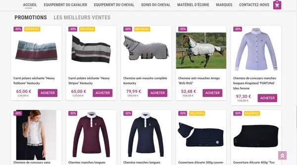 agence web paris