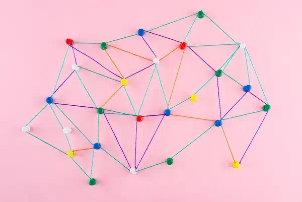 formation SEO